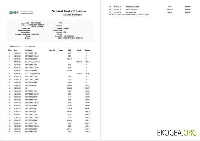 Relevé de compte de la Banque nationale du Pakistan du Pakistan Modèle Word et PDF, 2 pages